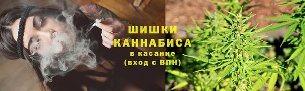 PSILOCYBIN Елизово
