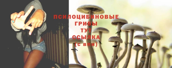 первитин Дмитриев