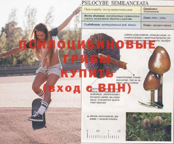 тгк Елабуга